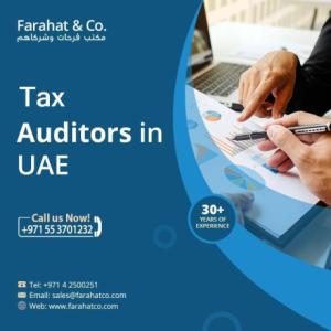 Tax advisors in UAE - Company Audit Services in UAE