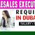 Telesales Executive Required in Dubai