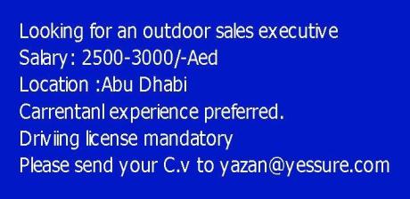 Looking for an outdoor sales executive