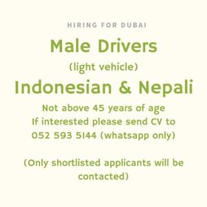 Light Vehicle Driver