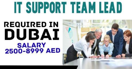 Information Technology Support Team Lead