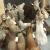 Excellent quality Taxidermy Mounts available for sale