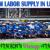 Daily Basic labor supply in Ajman Dubai Sharjah Abudhabi