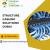 DO WE NEED STRUCTURE CABLING DUBAI FOR BUSINESS?