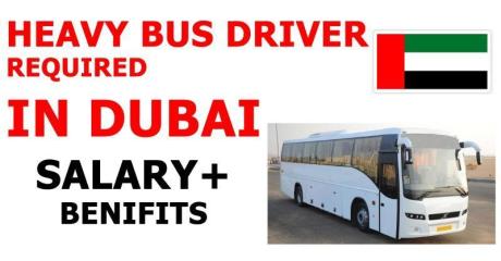 HEAVY BUS DRIVER REQUIRED IN DUBAI