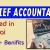Chief Accountant Required in Dubai
