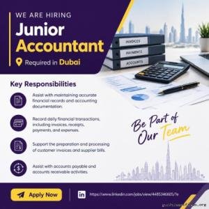 Junior accountant Required in Dubai