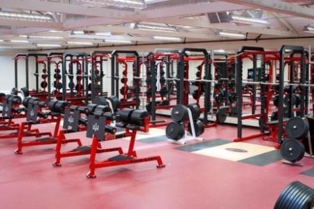 Own a Home Gym Equipment from Manufacturer