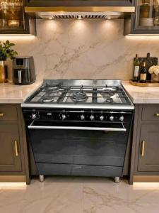 Smeg Brand Latest New Model Top Gas Electric Oven