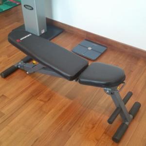 Buy Dubai made Gym Bench