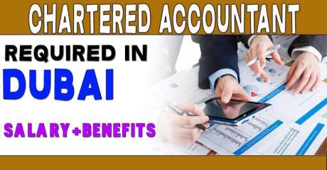 Chartered Accountant Required in Dubai