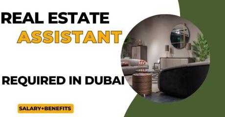 Real Estate Assistant Required in Dubai