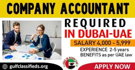 COMPANY ACCOUNTANT REQUIRED IN DUBAI