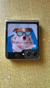 Samsung Galaxy flip 5, Dual sim, 256 GB