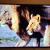 66INCH SMART TV