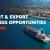 Best Import Export Business in Dubai: Set-Up Guide 2023