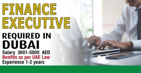 Finance Executive Required in Dubai