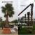 Palm Tree Supply and Planting in Dubai