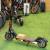 All models Electric Scooter Available