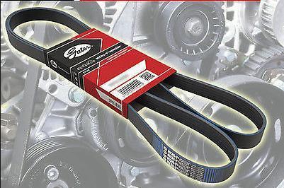 Are you searching for standard quality V belt suppliers?