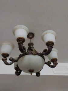 Celling lamp for sale