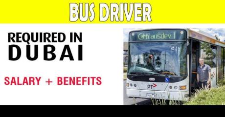 BUS DRIVER REQUIRED IN DUBAI