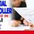 Financial Controller Required in Dubai