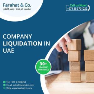 Need to Liquidate a Company - Company Liquidation in Dubai