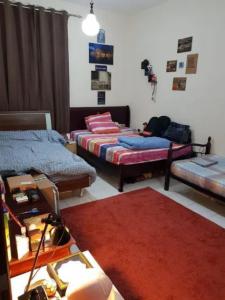 Available for share in 1BK متاح المشاركة في غرفة و صالة