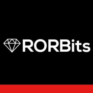 Top Ruby on Rails Development Company Chennai - RORBits