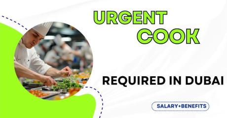 Urgent Cook Required in Dubai