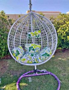 Swing Chair Outdoor For Sale Brand New