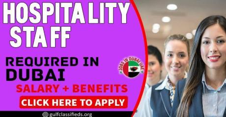Hospitality Staff Required in Dubai