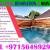Swimming Pool Maintenance Service ajman Dubai Sharjah +971564892942