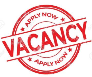 Admin & Typist / Accountant