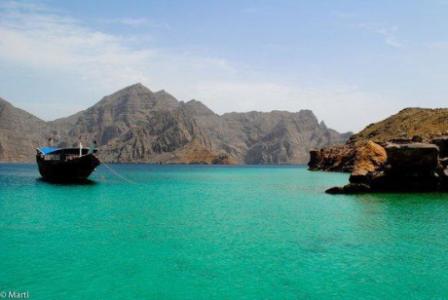 Contact Us For Best Dolphin Khasab Tours in Oman