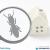 termite treatment dubai