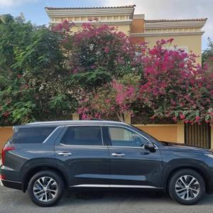 HUYNDAI Palaside 2020 American specs