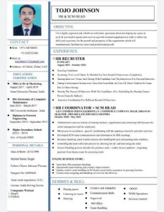 Searching for a career job