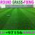 Artificial Grass Fixing In Dubai -Ajman -Sharjah