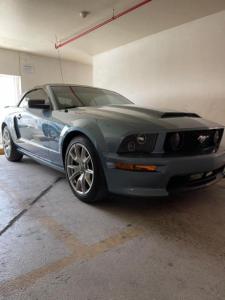 Ford Mustang 2006 v8