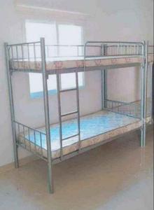 new bunker beds