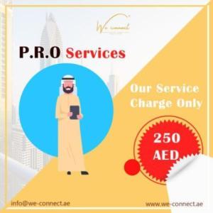 PRO Services | Document clearing