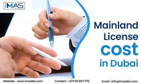 Delving Into The Concept Of A Business Setup