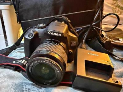 Canon EOS 2000D / Canon DS126741