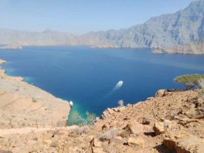 Book Dolphin Khasab Tours In Oman