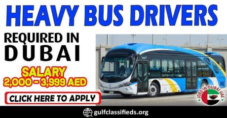 HEAVY BUS DRIVERS REQUIRED IN DUBAI