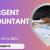 Urgent Accountant Required in Dubai