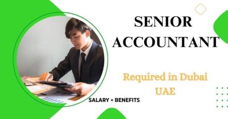 Senior Accountant Required in Dubai