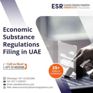 Economic Substance Regulations Filing Experts in UAE